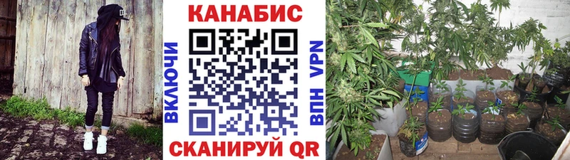 МАРИХУАНА гибрид Снежногорск